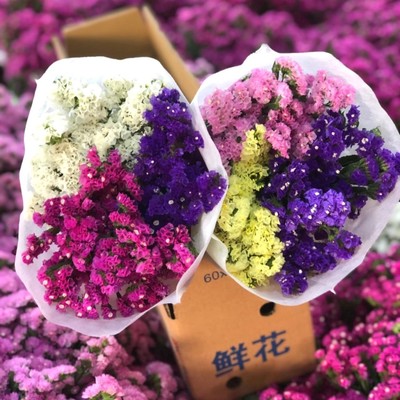 云南勿忘我滿天星干花花束 永恒之美，裝點(diǎn)生活