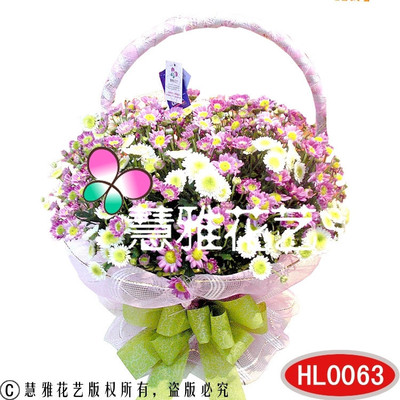 小雛菊花籃 一抹淡雅花語(yǔ)，織就你心動(dòng)瞬間的生活序詩(shī)